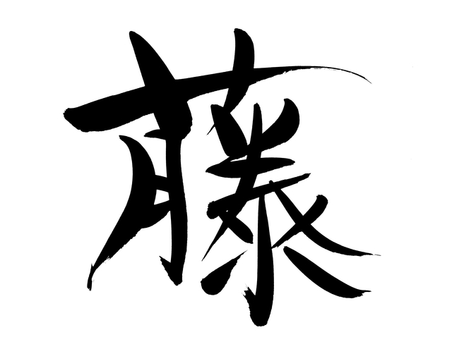logo fujimune it